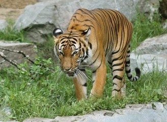 ZOO Ústí nad Labem